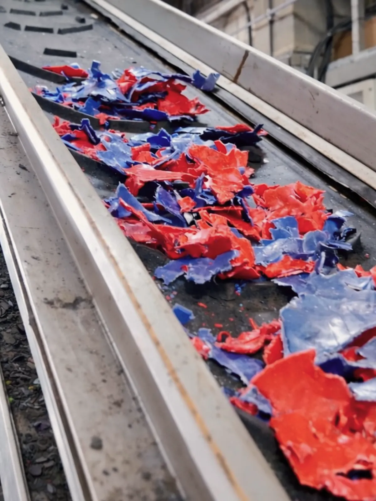 Red and blue shredded plastic travelling along a recycling conveyor